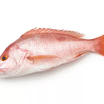 RED SNAPPER (FROZEN), 1 KG